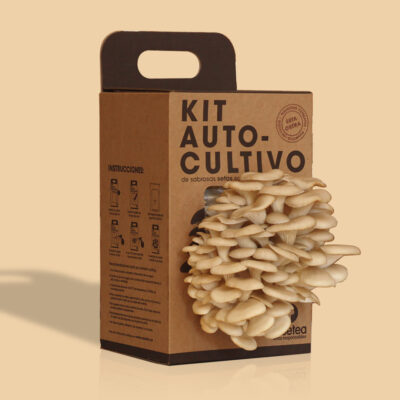 Kit Autocultivo Seta Ostra