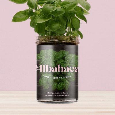 comprar huerto de albahaca resetea