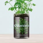 comprar huerto de cilantro resetea
