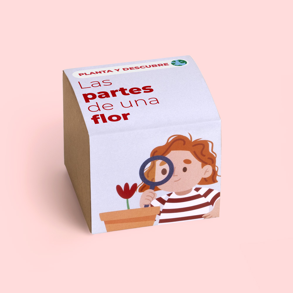 Resetea-Planta-y-descubre-Las-partes-de-una-flor-ES-1